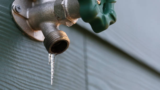 Best Sprinkler Systems  in Newbern, TN